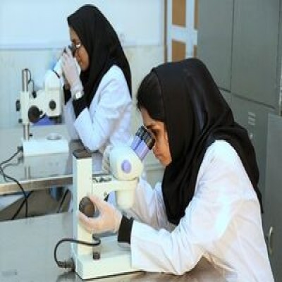 زنگ خطر کاهش رشد علمی کشور در کرونا