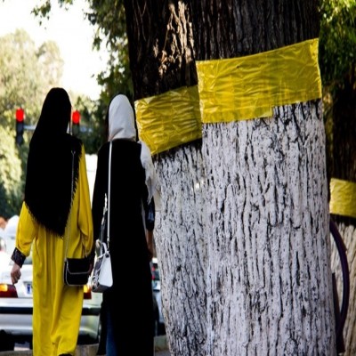 زنگ خطری بنام بحران تجرد...!