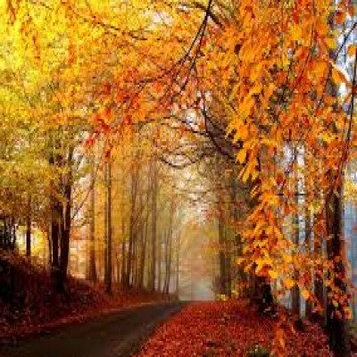 چگونه فصل خزان را با حرف زدن بهاری کنیم؟