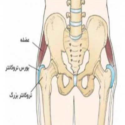 درد لگن در بارداری