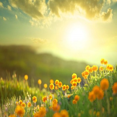 نکاتی بسیار مهم در مورد سحرخیزی