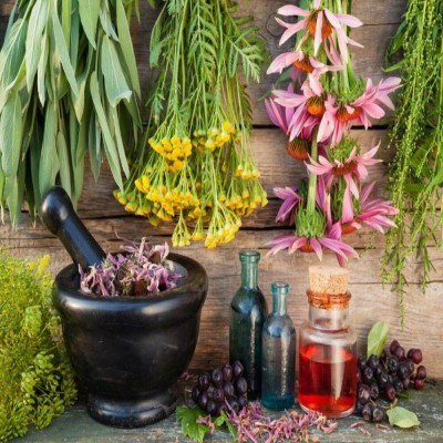 بررسی کاربرد داروهای گیاهی در درمان سنگ کلیه