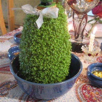 زمان مناسب برای کاشت سبزه نوروز/ چه بذرهایی برای سطوح شیب دار مناسب است؟