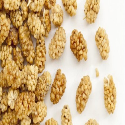 معرفی توت خشک و خواص درمانی آن