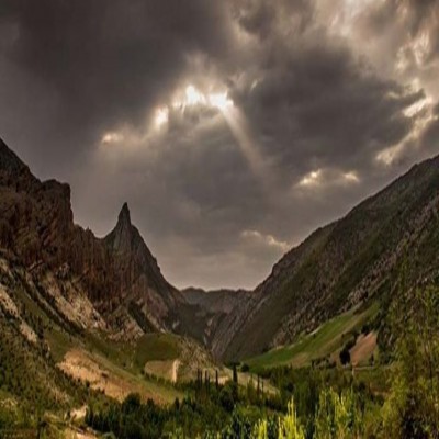 بزرگترین داروخانه طبیعی ایران کجاست؟/79 گونه دارویی نادر در یک داروخانه ایرانی