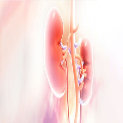 مراقبت‌های تابستانی در مبتلایان به نارسایی کلیوی