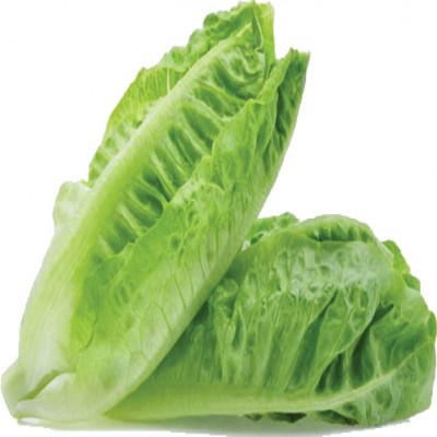 5 خاصیت کاهو