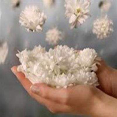 نیمه پر لیوان