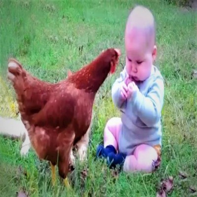 اگر می‌خواهید بچه شما قد بکشد...