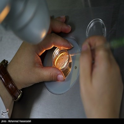"فریز تخمک در دمای منفی ۹۶ درجه" راهی برای مادر شدن در آینده