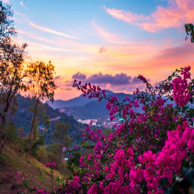 عشق، عفت و جهاد با نفس در آیینه حدیث نبوی